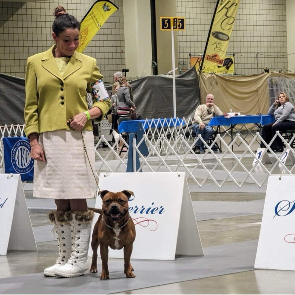 Meet your Posher, Rachel